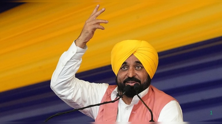 "Speaking From Some Other Station": Bhagwant Mann Slams Raghav Chadha
