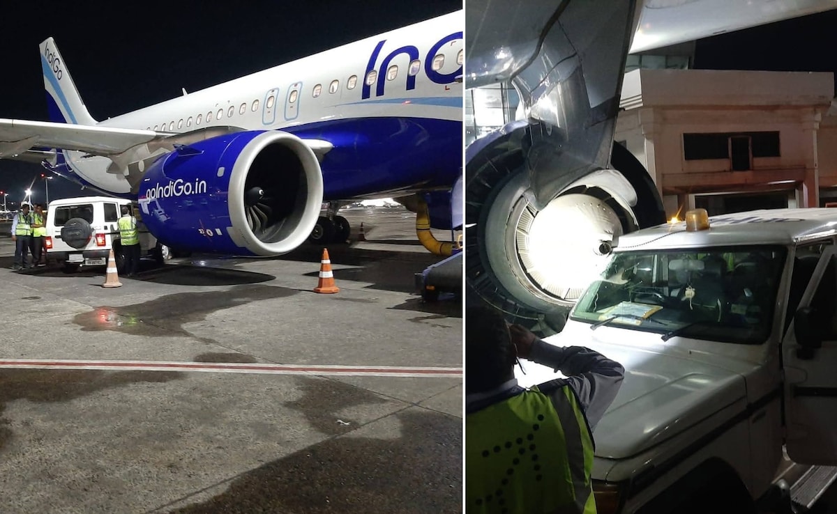 The Art of Baking: From Classic Bread to Artisan Pastries