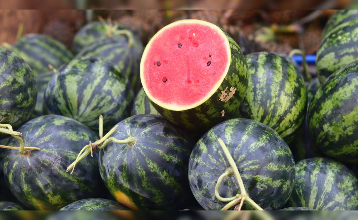 Latest and Breaking News on NDTV