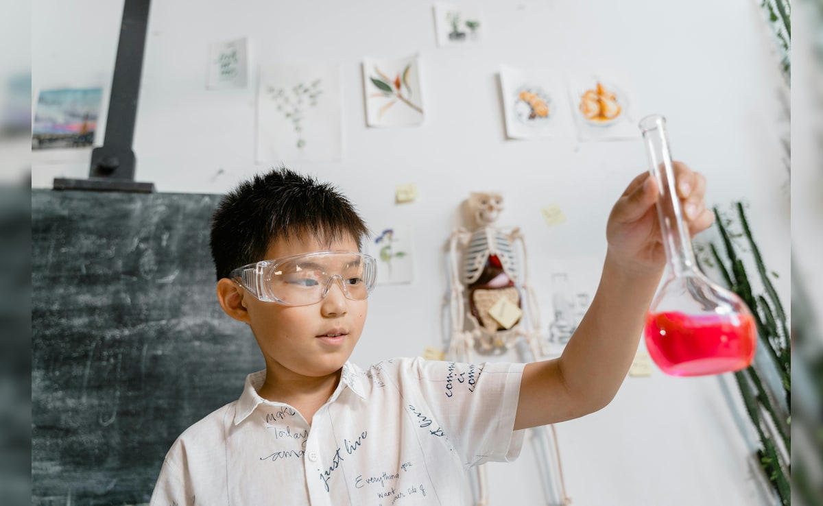 क्‍लास 6 के बच्‍चे को इन तरीकों से पढ़ाएं साइंस,  सेल्‍फ स्‍टडी की पढ़ जाएगी आदत