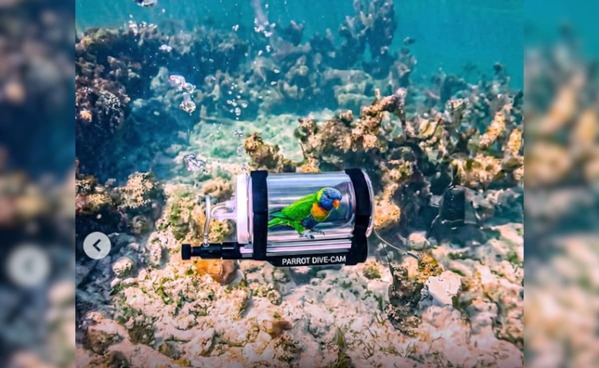 Latest and Breaking News on NDTV