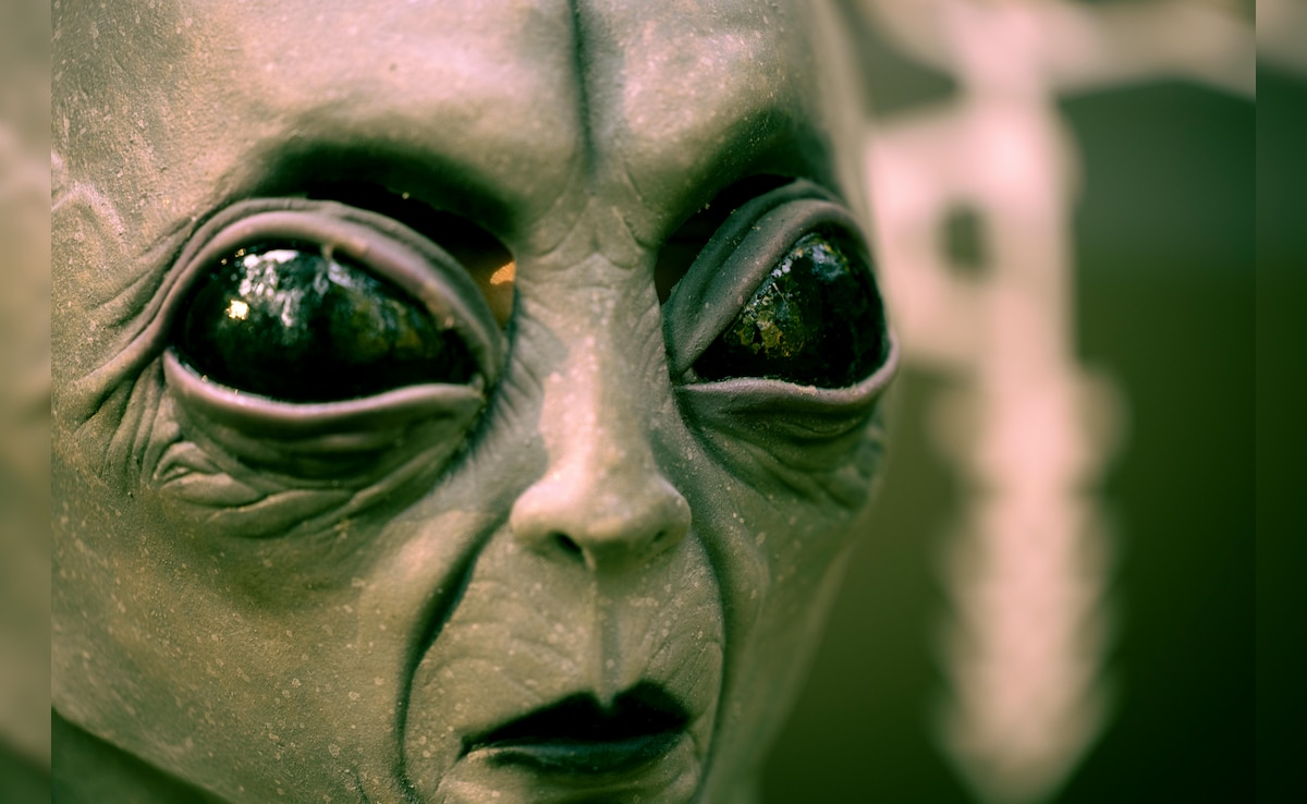 जॉम्‍बी से लेकर एलियंस तक से जुड़े अजब कोर्स, जो कॉलेज में पढ़ाए गए, डिग्री भी दी गई