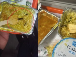 ट्रेन के खाने में अब AI पकड़ेगा मक्खी-कॉकरोच, घुन, कीड़े भी दिख जाएंगे, जानें IRCTC का पूरा प्लान