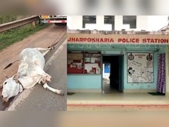 जल्लाद ट्रक ड्राइवर की घिनौनी हरकत, गाय को ट्रक से बांधकर घसीटा; एक पैर कटा