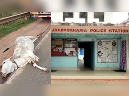 'जल्लाद' ट्रक ड्राइवर की घिनौनी हरकत, गाय को ट्रक से बांधकर घसीटा; एक पैर भी गायब