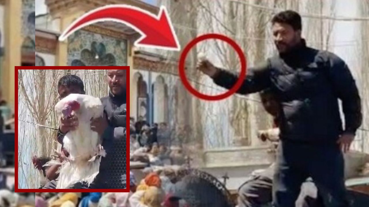 लेह में बिका 25 हजार का एक अंडा...मुर्गा भी सवा लाख के पार, वजह जानकर आपकी आंखों में आ जाएंगे आंसू