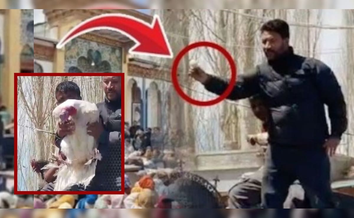 लेह में बिका 25 हजार का एक अंडा...मुर्गा भी सवा लाख के पार, वजह जानकर आपकी आंखों में आ जाएंगे आंसू