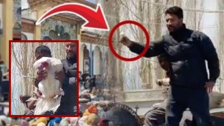 लेह में बिका 25 हजार का एक अंडा...मुर्गा भी सवा लाख के पार, वजह जानकर आपकी आंखों में आ जाएंगे आंसू