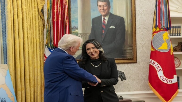 Trump Was 'Ready To Fire' Tulsi Gabbard After Iran Testimony; Roger Stone Intervened: Report