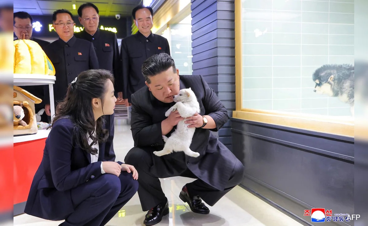 Puppies, Kitten, Power: North Korea's Kim Jong Un Steals Spotlight At Pet Shop