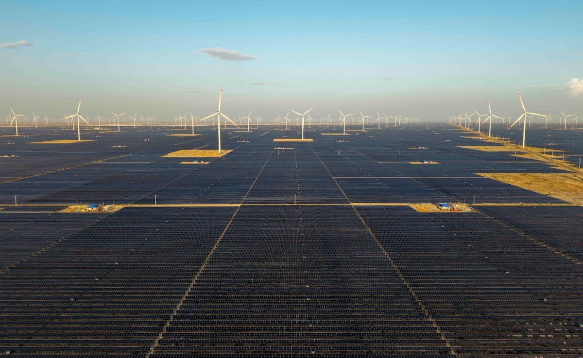 The Art of Baking: From Classic Bread to Artisan Pastries