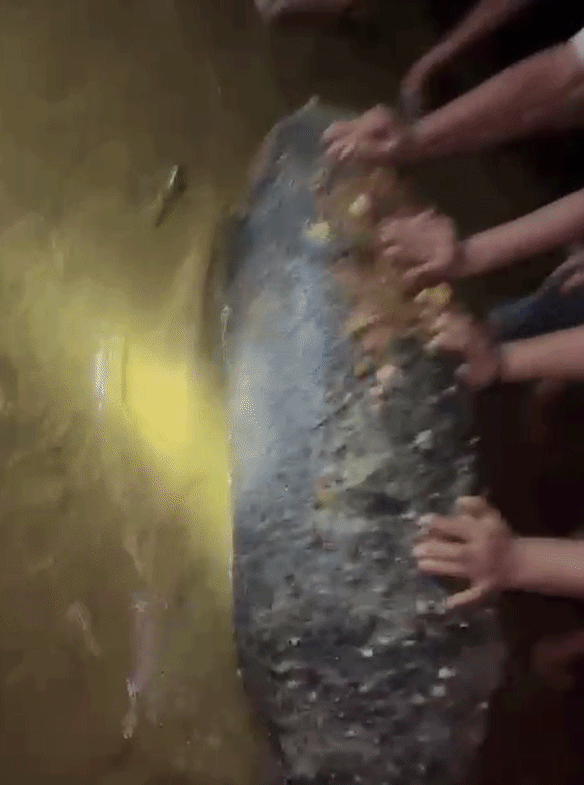 झारखंड के बहरागोड़ा में फिर मिला संदिग्ध सिलेंडर बम! इलाके में दहशत