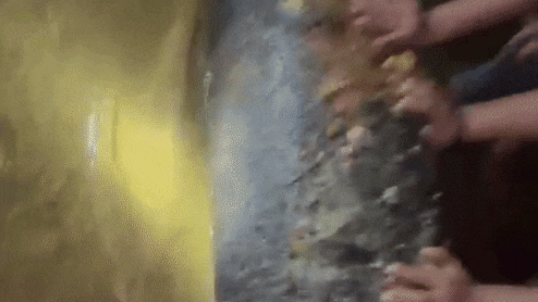 झारखंड के बहरागोड़ा में फिर मिला संदिग्ध सिलेंडर बम! इलाके में दहशत