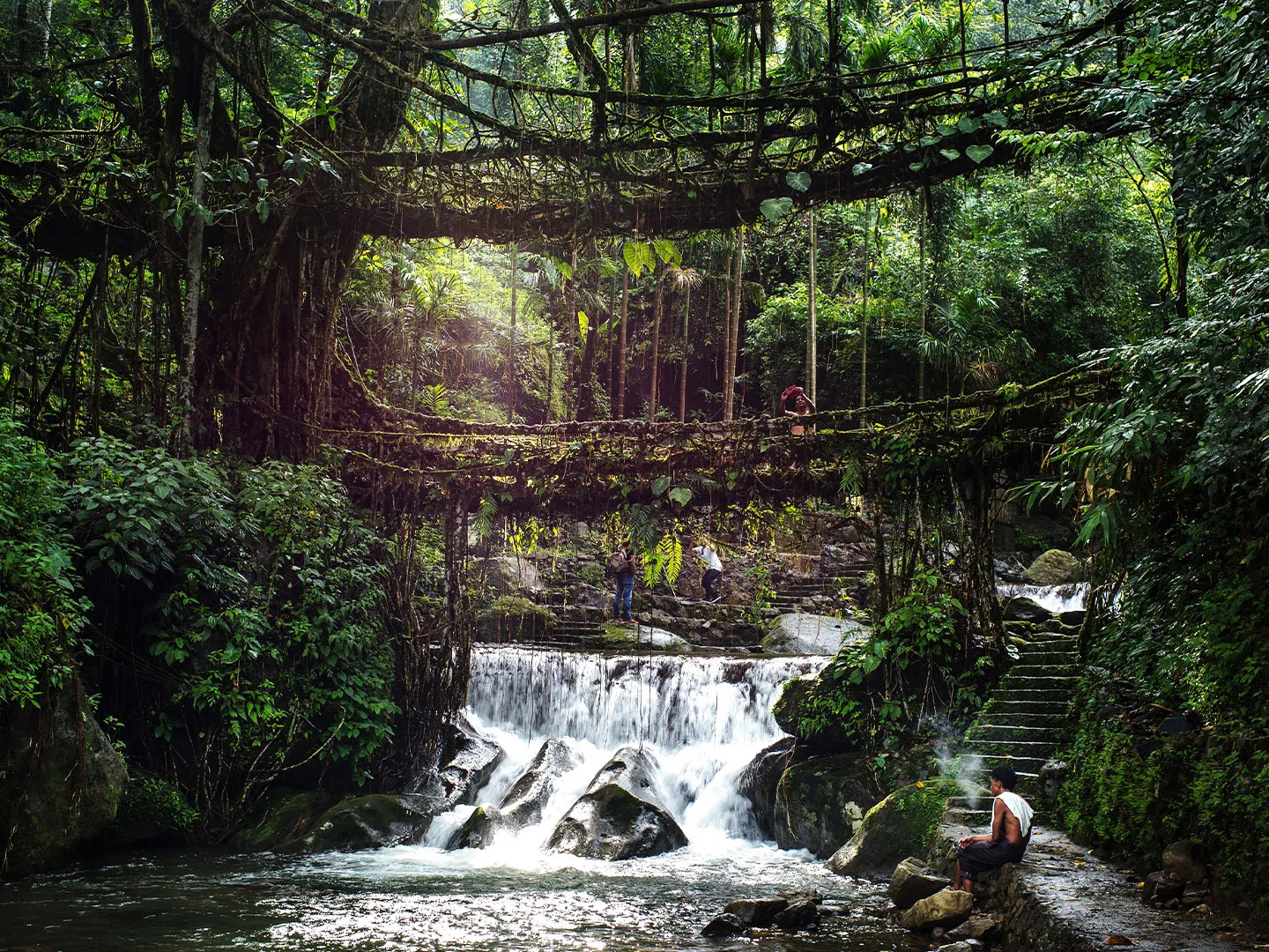 From Clean Paths to Living Roots: A Day Beyond Shillong From Clean Paths to Living Roots: A Day Beyond Shillong
