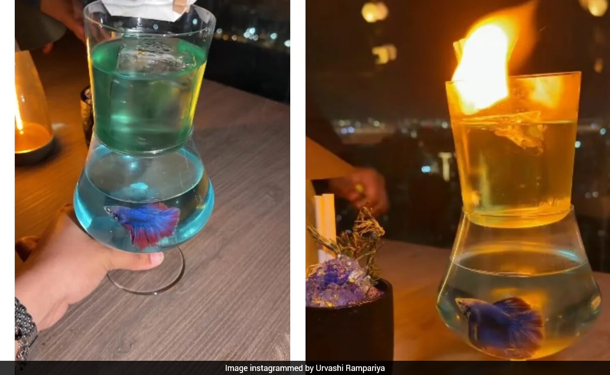 Sanjay Dutt’s Mumbai Bar