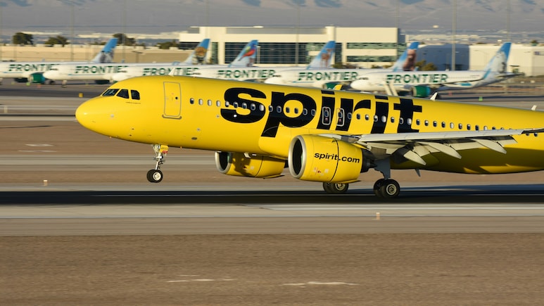 Spirit Airlines' Passengers Report Over Rs 2 Lakh Worth Of Items Missing From Bags, Handler Arrested