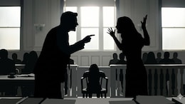 In Overseas Child Custody Battle, Delhi High Court's "Deep Roots" In India Order