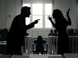 In Overseas Child Custody Battle, Delhi High Court's "Deep Roots" In India Order