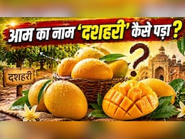दशहरा से कोई कनेक्शन नहीं! फिर कैसे पड़ा इस मशहूर आम का नाम दशहरी...
