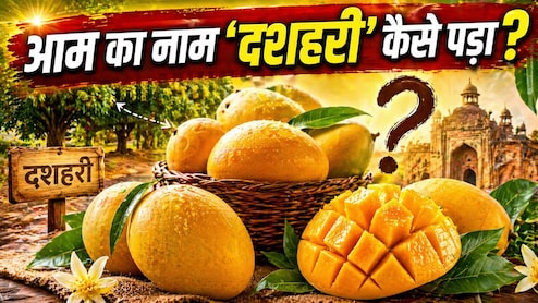 दशहरा से कोई कनेक्शन नहीं! फिर कैसे पड़ा इस मशहूर आम का नाम दशहरी...