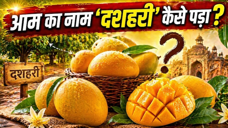 दशहरा से कोई कनेक्शन नहीं! फिर कैसे पड़ा इस मशहूर आम का नाम दशहरी...