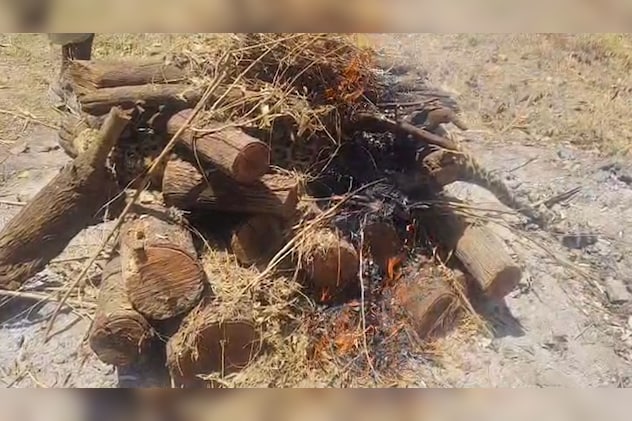 मादा लेपर्ड के शव का अंतिन संस्कार कर दिया गया