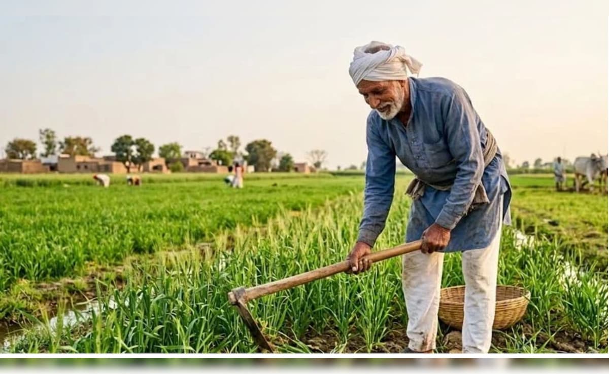 मिडिल ईस्ट टेंशन से ग्रामीण अर्थव्यवस्था को बचाने के लिए सरकार का 'प्लान-बी' तैयार
