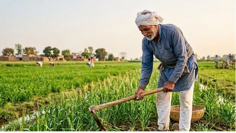 मिडिल ईस्ट टेंशन से ग्रामीण अर्थव्यवस्था को बचाने के लिए सरकार का 'प्लान-बी' तैयार