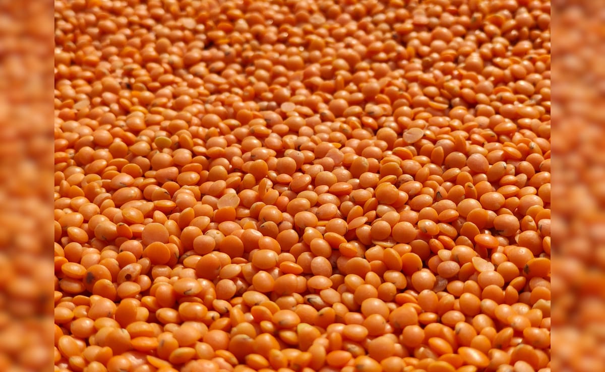 Masoor Dal Ke Fayde: देसी घी के छौंक से लेकर मठ्ठा के साथ सेवन तक, जानिए इसे खाने से शरीर को मिलने वाले फायदों के बारे में