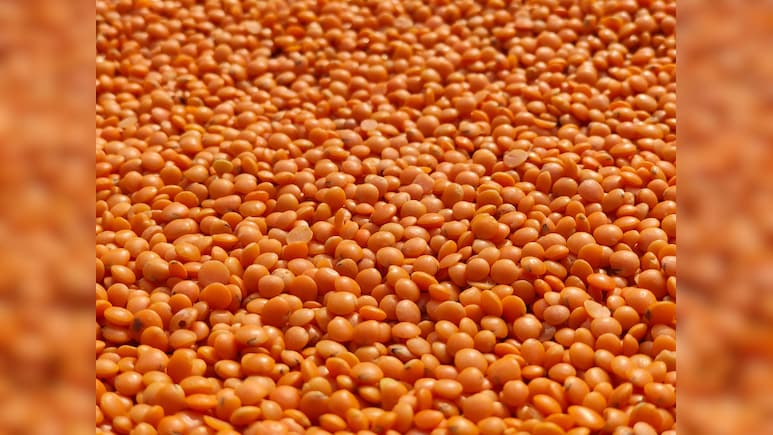 Masoor Dal Ke Fayde: देसी घी के छौंक से लेकर मठ्ठा के साथ सेवन तक, जानिए इसे खाने से शरीर को मिलने वाले फायदों के बारे में