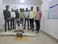 Gujarat Cops Unearth Cannabis Plantation Worth Rs 2.6 Lakh, Owner Arrested