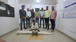 Gujarat Cops Unearth Cannabis Plantation Worth Rs 2.6 Lakh, Owner Arrested