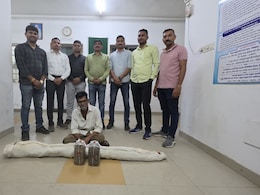 Gujarat Cops Unearth Cannabis Plantation Worth Rs 2.6 Lakh, Owner Arrested