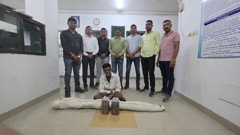 Gujarat Cops Unearth Cannabis Plantation Worth Rs 2.6 Lakh, Owner Arrested