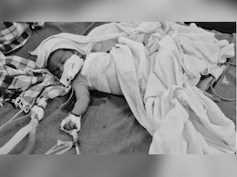 झोपड़ी में सो रहे मासूम को उठा ले गए आवारा कुत्ते, बुरी तरह नोचकर फाड़ डाला पेट