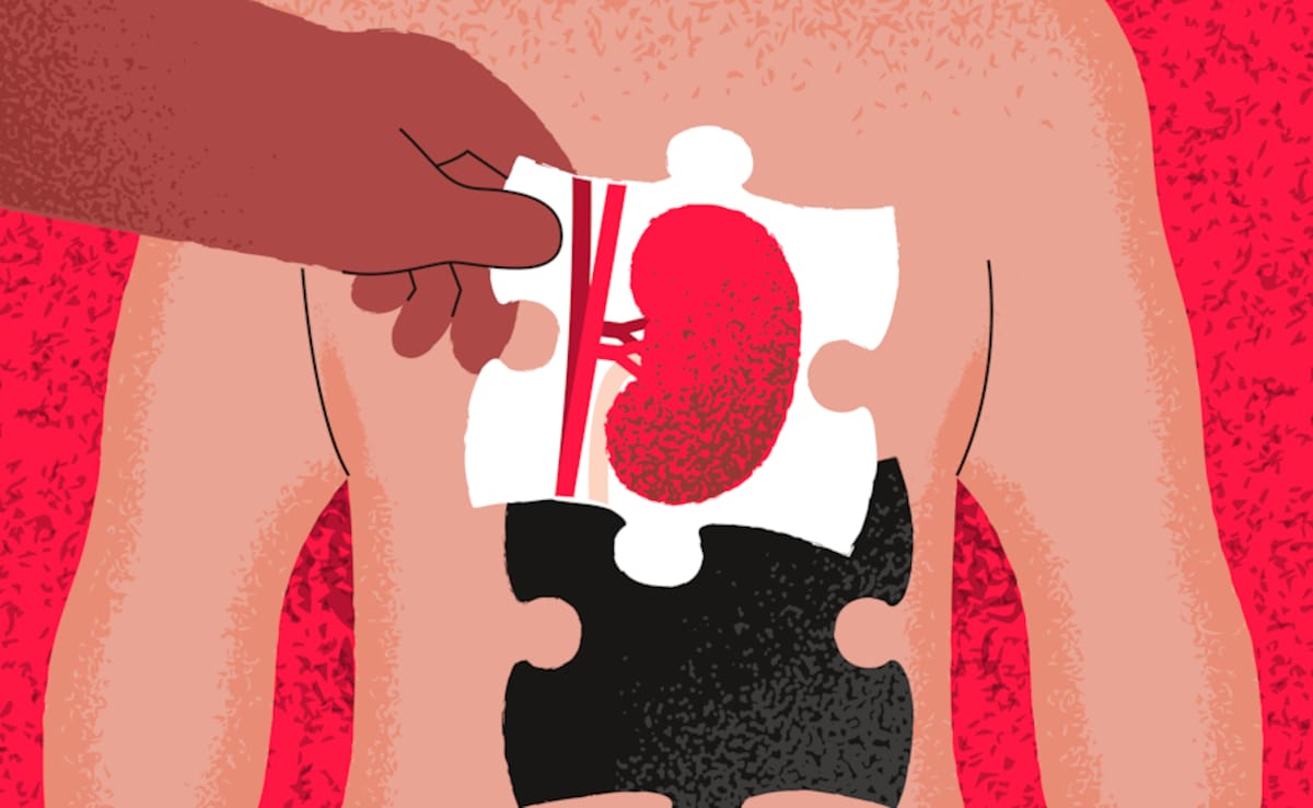 Latest and Breaking News on NDTV