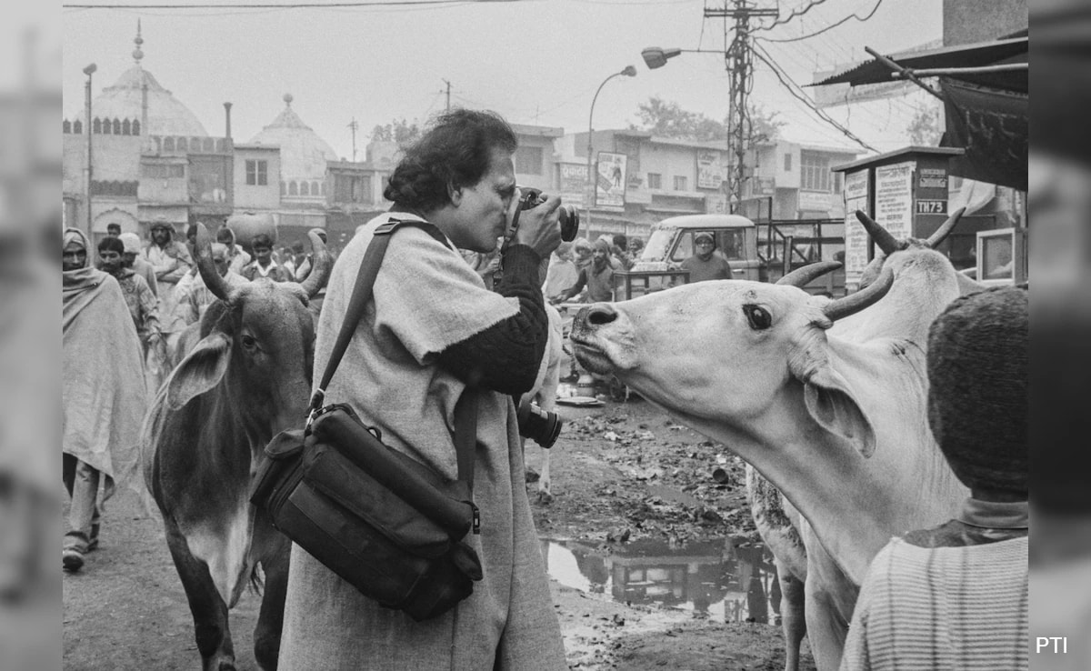 Raghu Rai, Man Behind India's Most Iconic Images, Dies At 83