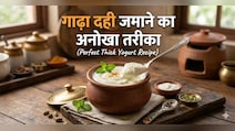 गर्मियों में दही कैसे जमाए? गाढ़ा दही जमाने का आसान तरीका