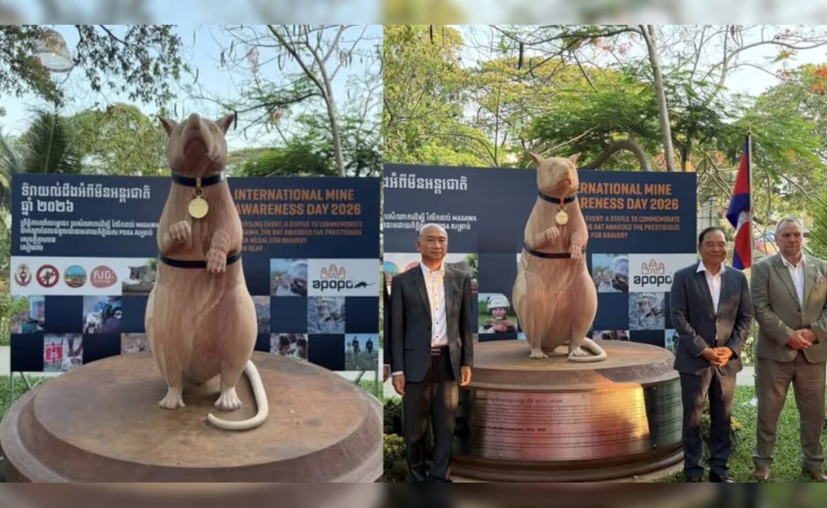 आखिर कंबोडिया में क्यों बना इस चूहे का स्टैच्यू? अजब कारनामे ने बनाया दुनिया का लाडला