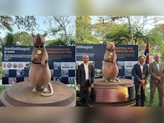 आखिर कंबोडिया में क्यों बना इस चूहे का स्टैच्यू? अजब कारनामे ने बनाया दुनिया का लाडला