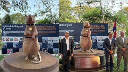 आखिर कंबोडिया में क्यों बना इस चूहे का स्टैच्यू? अजब कारनामे ने बनाया दुनिया का लाडला