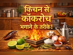 किचन से कॉकरोच कैसे भगाएं? अपनाएं ये 9 आसान तरीके, दोबारा कभी नजर नहीं आएंगे...