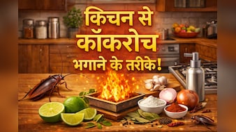 किचन से कॉकरोच कैसे भगाएं? अपनाएं ये 9 आसान तरीके, दोबारा कभी नजर नहीं आएंगे...