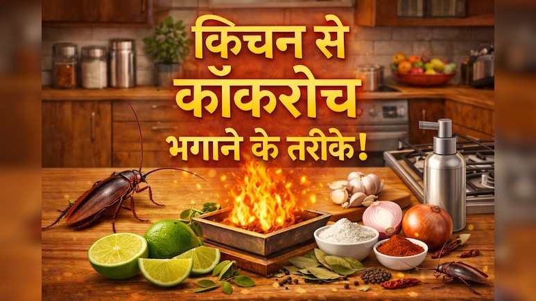 किचन से कॉकरोच कैसे भगाएं? अपनाएं ये 9 आसान तरीके, दोबारा कभी नजर नहीं आएंगे...