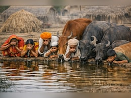 Water Crisis: इंसान और जानवर एक ही जगह से पी रहे पानी, पुणे के आदिवासी गांवों में गहराया जल संकट