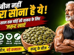 ना दवा, ना टॉनिक! ये छोटे बीज देंगे उम्रभर की ताकत - हर दिन बस एक चम्मच, शरीर बनेगा पावरहाउस