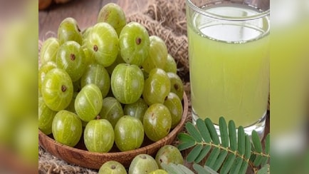 गर्मियों का टॉनिक है आंवला शरबत, रोज पीने से मिलते हैं अनगिनत लाभ