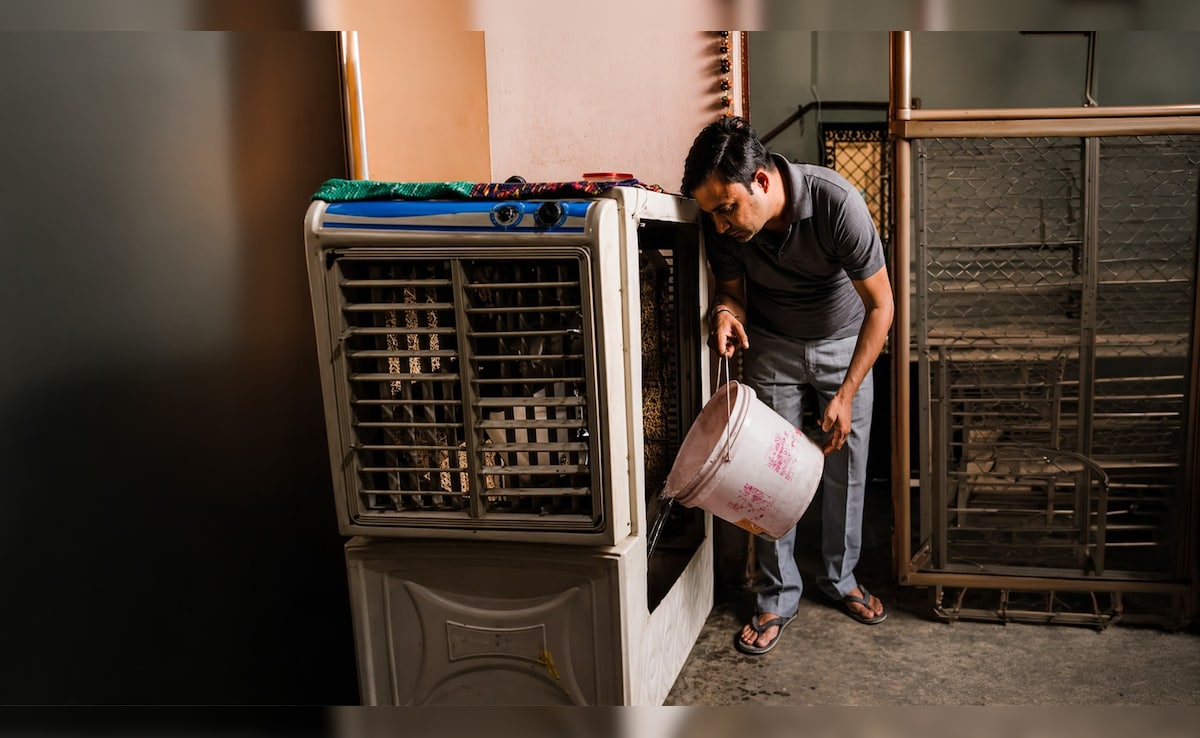 Latest and Breaking News on NDTV