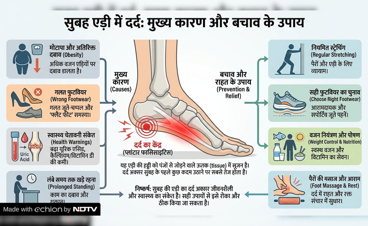 Latest and Breaking News on NDTV