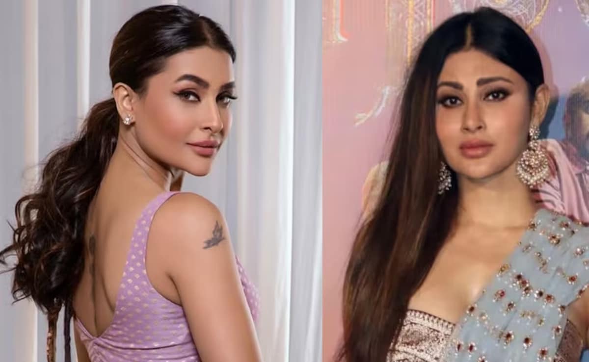 Pavitra Punia Slams Trolls Targeting Mouni Roy Over 'Plastic Surgery': 'Have Some Shame'